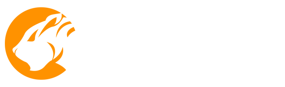 ‌虎扑电竞